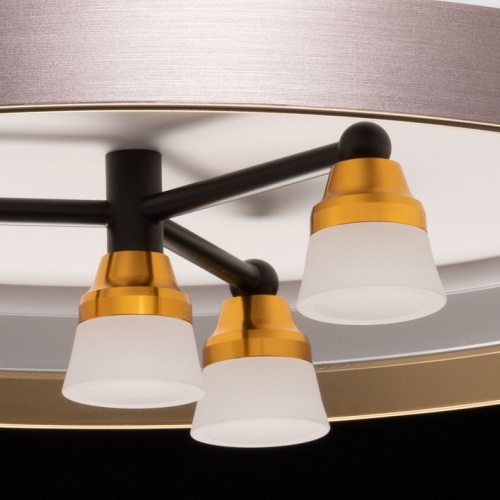 Потолочная люстра De City Семья 66 660014701 в Нижнем Новгороде фото 3