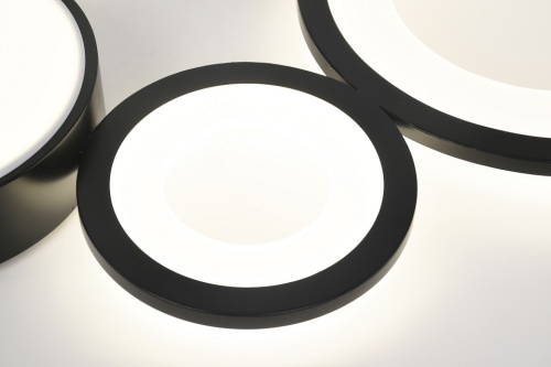 Потолочная люстра Rivoli Aliona Б0066468 в Нижнем Новгороде фото 6