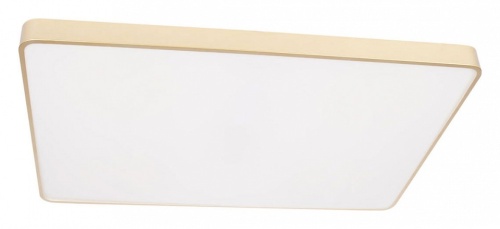 Накладной светильник Loft it Flims 10228/E в Нижнем Новгороде фото 7