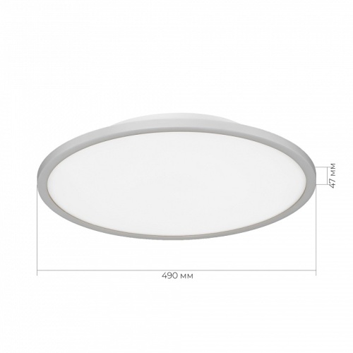 Накладной светильник EVOLUCE TASSEN SLE1811-502-01 в Нижнем Новгороде фото 2