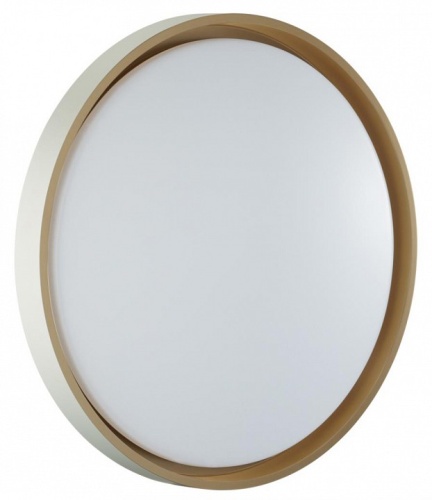 Накладной светильник Sonex Kisil 7645/ELN в Нижнем Новгороде