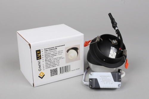 Встраиваемый светильник Omnilux Mantova OML-103019-08 в Нижнем Новгороде фото 2