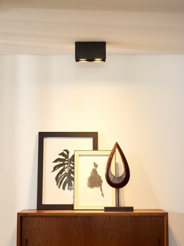 Накладной светильник Lucide Bodi 09101/02/30 в Нижнем Новгороде фото 3