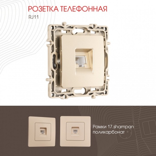 Розетка телефонная RJ-11 без рамки Arte Milano am-217 217.51-1.shampan в Нижнем Новгороде фото 4