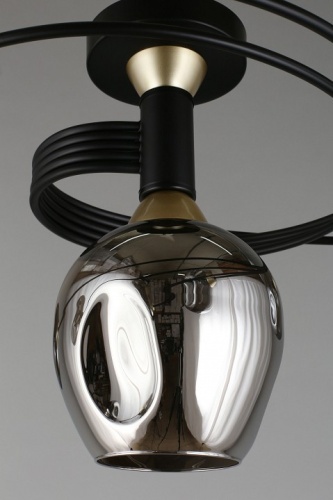 Потолочная люстра Aployt Flor APL.611.17.06 в Нижнем Новгороде фото 11