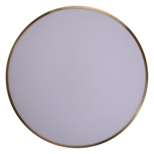 Накладной светильник Zortes Monna ZRS.1209.12 в Нижнем Новгороде фото 8