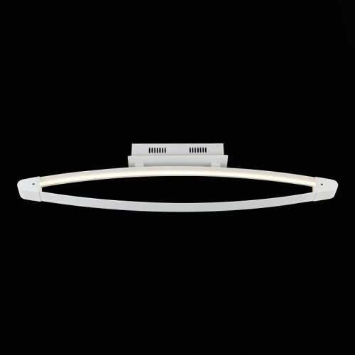 Накладной светильник ST-Luce SL920 SL920.102.01 в Нижнем Новгороде фото 4