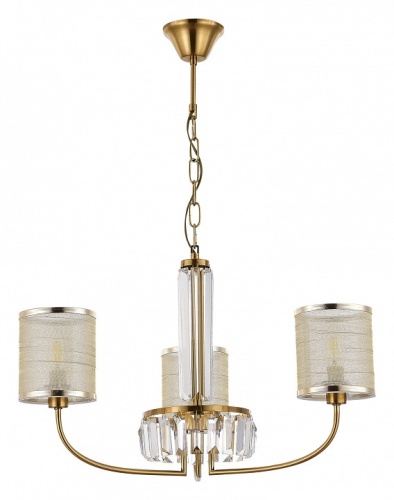 Подвесная люстра EVOLUCE Ellisse SLE1119-303-03 в Нижнем Новгороде фото 2