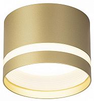 Накладной светильник Citilux Hardy CL002C12 в Нижнем Новгороде