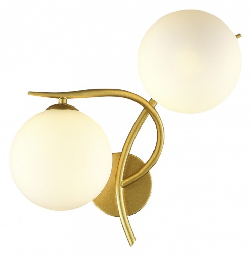 Бра EVOLUCE Artu SLE2210-201-02 в Нижнем Новгороде фото 3