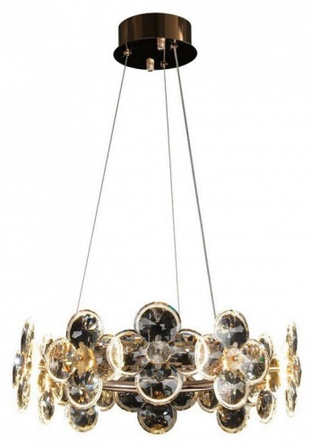 Подвесной светильник Aployt Alunia APL.097.03.10 в Нижнем Новгороде