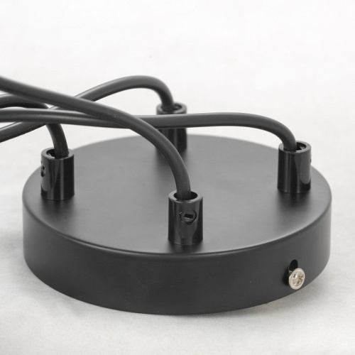 Подвесная люстра Lussole Chilton LSP-8411 в Нижнем Новгороде фото 4