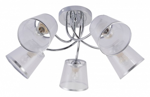 Потолочная люстра Rivoli Shirley Б0059982 в Нижнем Новгороде