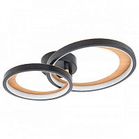 Накладной светильник Escada Callisto 10265/2LED в Нижнем Новгороде