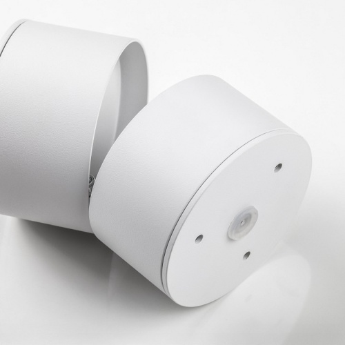 Накладной светильник Lightstar Acuto 215836 в Нижнем Новгороде фото 5