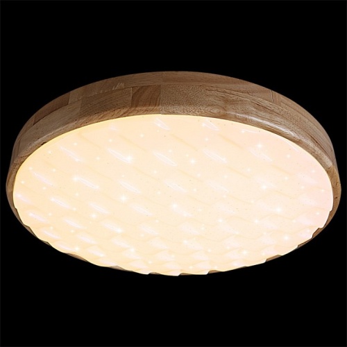 Накладной светильник 60530-0.2-60W в Нижнем Новгороде фото 6