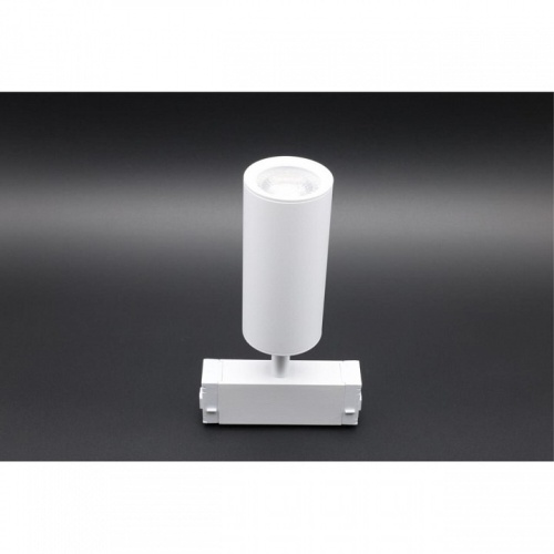 Светильник на штанге Aployt Magnetic track 220 APL.0209.11.01 в Нижнем Новгороде фото 6