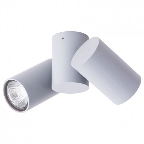 Спот Arte Lamp Gavroche A1511PL-2GY в Нижнем Новгороде фото 2