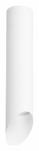 Накладной светильник Lightstar Rullo R49636 в Соколе