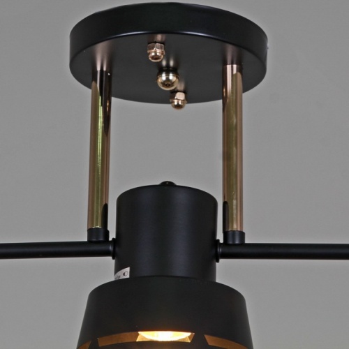 Светильник на штанге 06074-3.3-03 BK+FG в Нижнем Новгороде фото 2