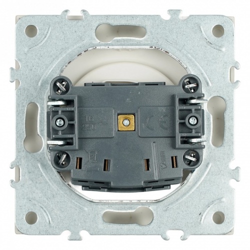 Розетка без заземления и со шторкой, без рамки Stekker Эмили 49902 в Нижнем Новгороде фото 5