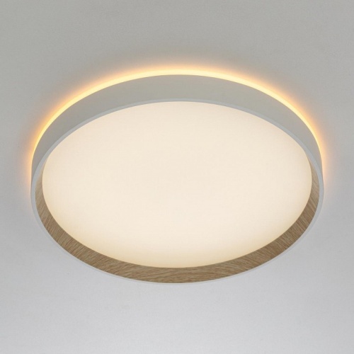 Накладной светильник Citilux ETALON CL750320R в Нижнем Новгороде фото 14