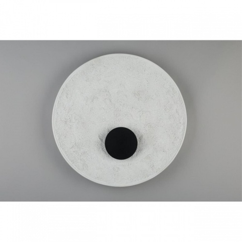 Накладной светильник Aployt Samuele APL.069.11.07 в Нижнем Новгороде фото 2