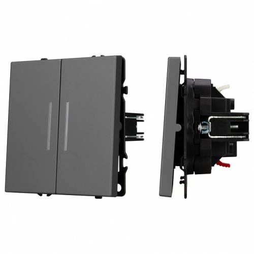 Выключатель проходной двухклавишный без рамки Arlight SWT 054269 в Нижнем Новгороде