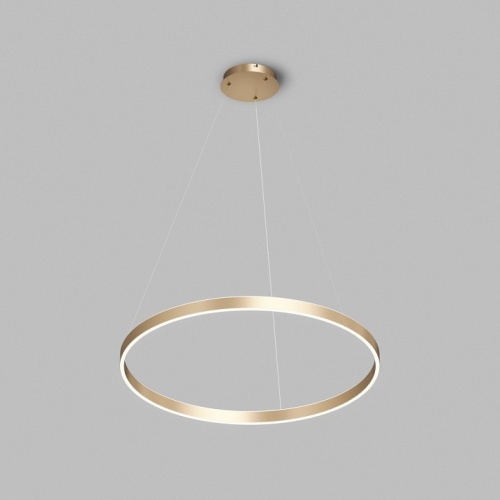 Подвесной светильник Denkirs RAYDIA DK6272-SG в Нижнем Новгороде фото 4