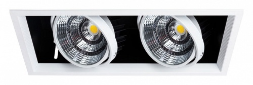 Встраиваемый светильник Arte Lamp Merga A8450PL-2WH в Заречном