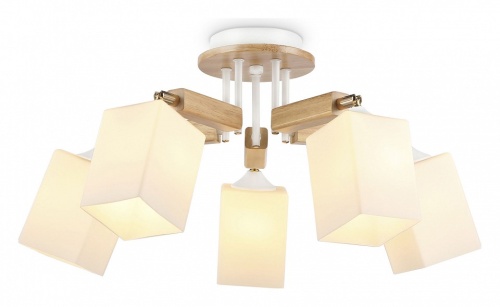 Потолочная люстра Ambrella Light TR TR9518 в Нижнем Новгороде