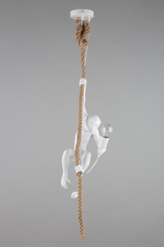 Подвесной светильник Aployt Magali APL.309.06.01 в Нижнем Новгороде фото 12