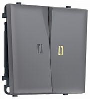 Выключатель двухклавишный с подсветкой без рамки Ambrella Volt MS MS864010 в Нижнем Новгороде