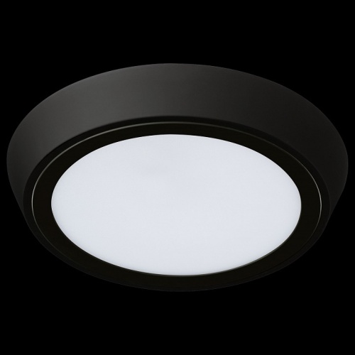 Накладной светильник Lightstar Urbano 216974 в Нижнем Новгороде фото 3