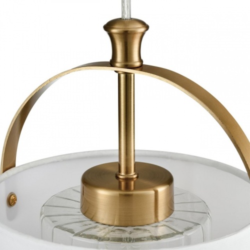 Подвесной светильник Lumion Jane 6593/1 в Нижнем Новгороде фото 4