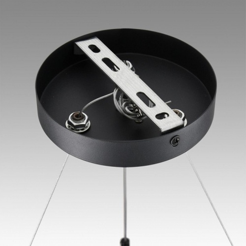 Подвесная люстра Lumion Luazana 8242/9 в Нижнем Новгороде фото 6