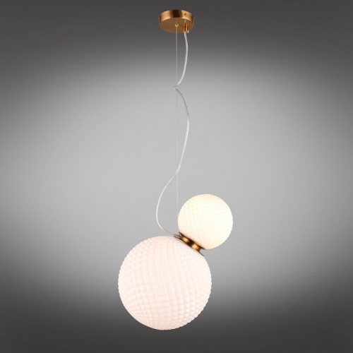 Подвесной светильник Aployt Patunia APL.301.06.02 в Нижнем Новгороде фото 4