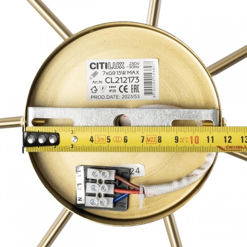 Люстра на штанге Citilux Tonga CL212173 в Нижнем Новгороде фото 3