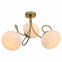 Потолочная люстра EVOLUCE Acini SL717.202.03 в Нижнем Новгороде