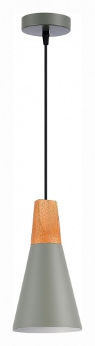 Подвесной светильник EVOLUCE Modica SLE125173-01 в Нижнем Новгороде фото 3
