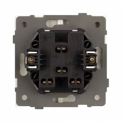 Выключатель двухклавишный без рамки Arlight SWT 054547 в Нижнем Новгороде фото 2