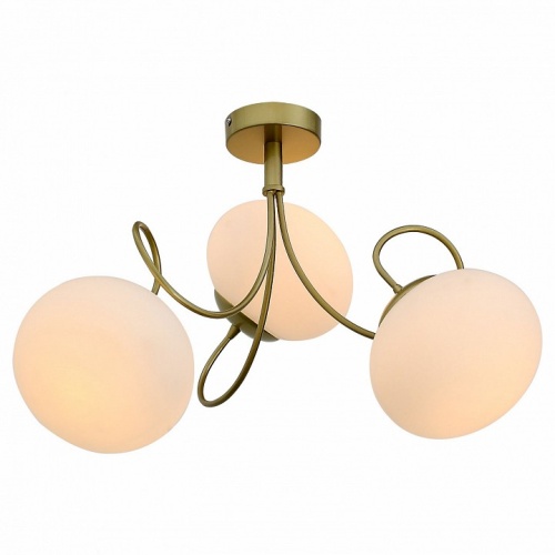 Потолочная люстра EVOLUCE Acini SL717.202.03 в Нижнем Новгороде