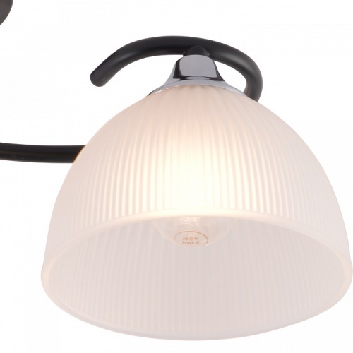 Люстра на штанге 01635-0.3-03 BK+CR в Нижнем Новгороде фото 2