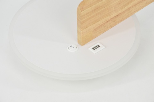 Накладной светильник с полкой Rivoli Anastasia Б0066439 в Нижнем Новгороде фото 2