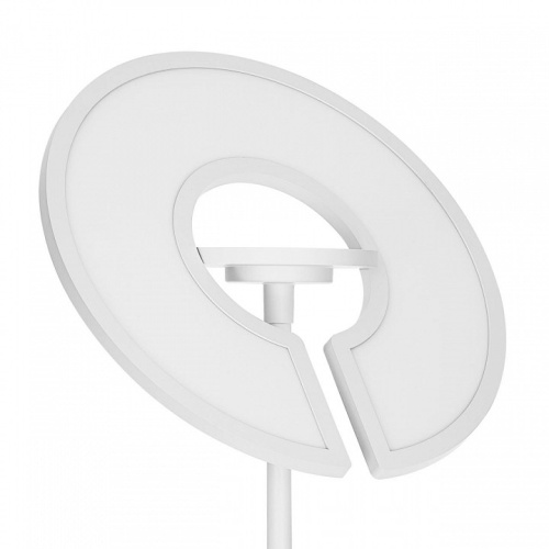 Торшер Citilux LOONG CL810030 в Нижнем Новгороде фото 11