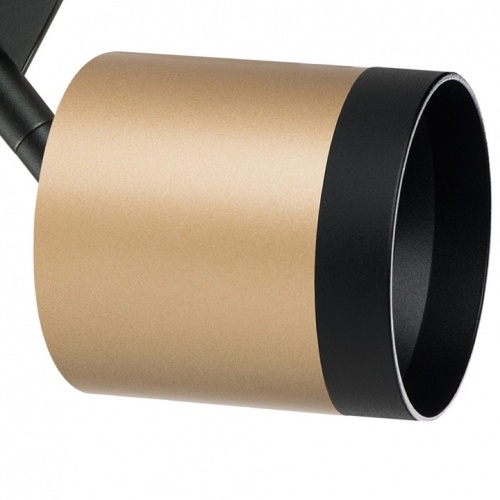 Светильник на штанге Lightstar Rullo PRO34903487 в Нижнем Новгороде фото 3