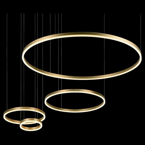 Подвесной светильник Loft it Ring 10017/4L в Нижнем Новгороде фото 6