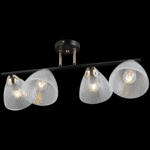 Светильник на штанге ILLUMICO ARIES IL0739-4CSQ-24 BK FGD ARIES в Нижнем Новгороде фото 2