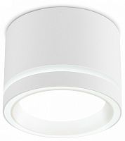 Накладной светильник Ambrella Light TU TU5530 в Нижнем Новгороде