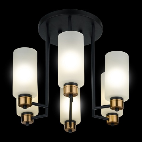 Потолочная люстра 33 идеи CHN900 CHN900.06.BL17.ASB-S16WH в Нижнем Новгороде фото 3